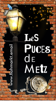 Les Puces de Metz 220x400 2026